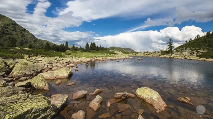 Фотореалистичное изображение горного озера Lago delle Bose с отражением сосен и альпийских склонов, солнечная погода, лёгкая дымка над водой, атмосфера отдыха и природы