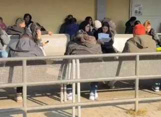 🏛️ Турин запустил первые в Италии «трудовые коридоры» для беженцев: новый путь легального въезда и работы Турин запустил трудовые коридоры для беженцев в Италии Фотореалистичное изображение зал Палаццо Чивико, делегации городских и региональных властей подписывают протокол, флаги Италии и ЕС, дневной свет, деловая атмосфера