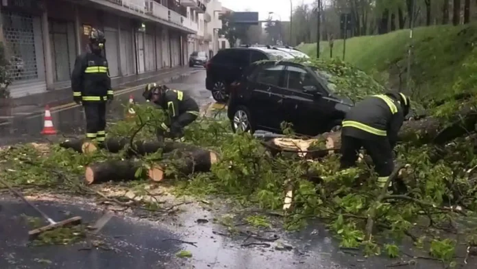 maltempo-italia-neve-vento-tempesta-marzo-2026 Сильный шторм в Италии: снег, ураганный ветер до 216 км/ч и перебои в транспорте